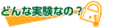 どんな実験なの？